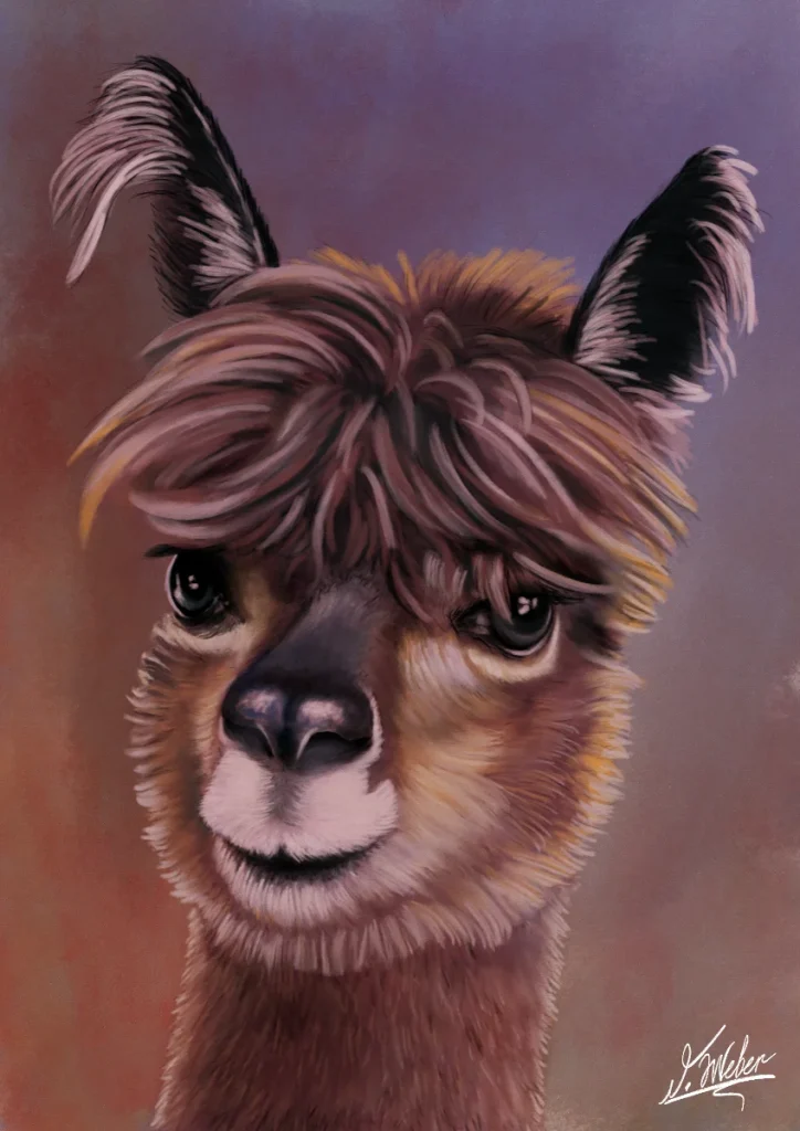 DW-Art-Alpaka