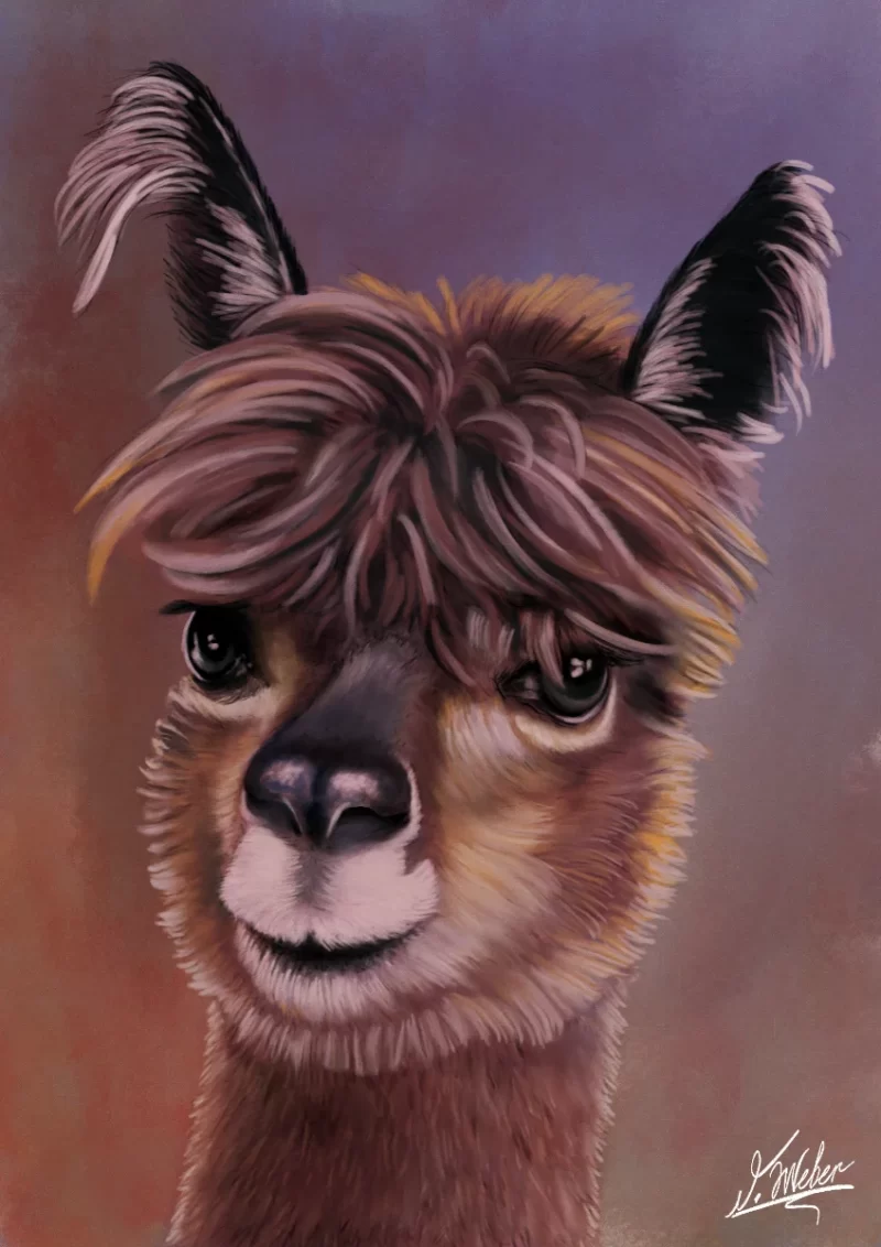 Alpaka