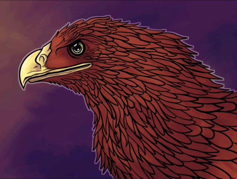 Adler