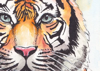 Tigerporträt