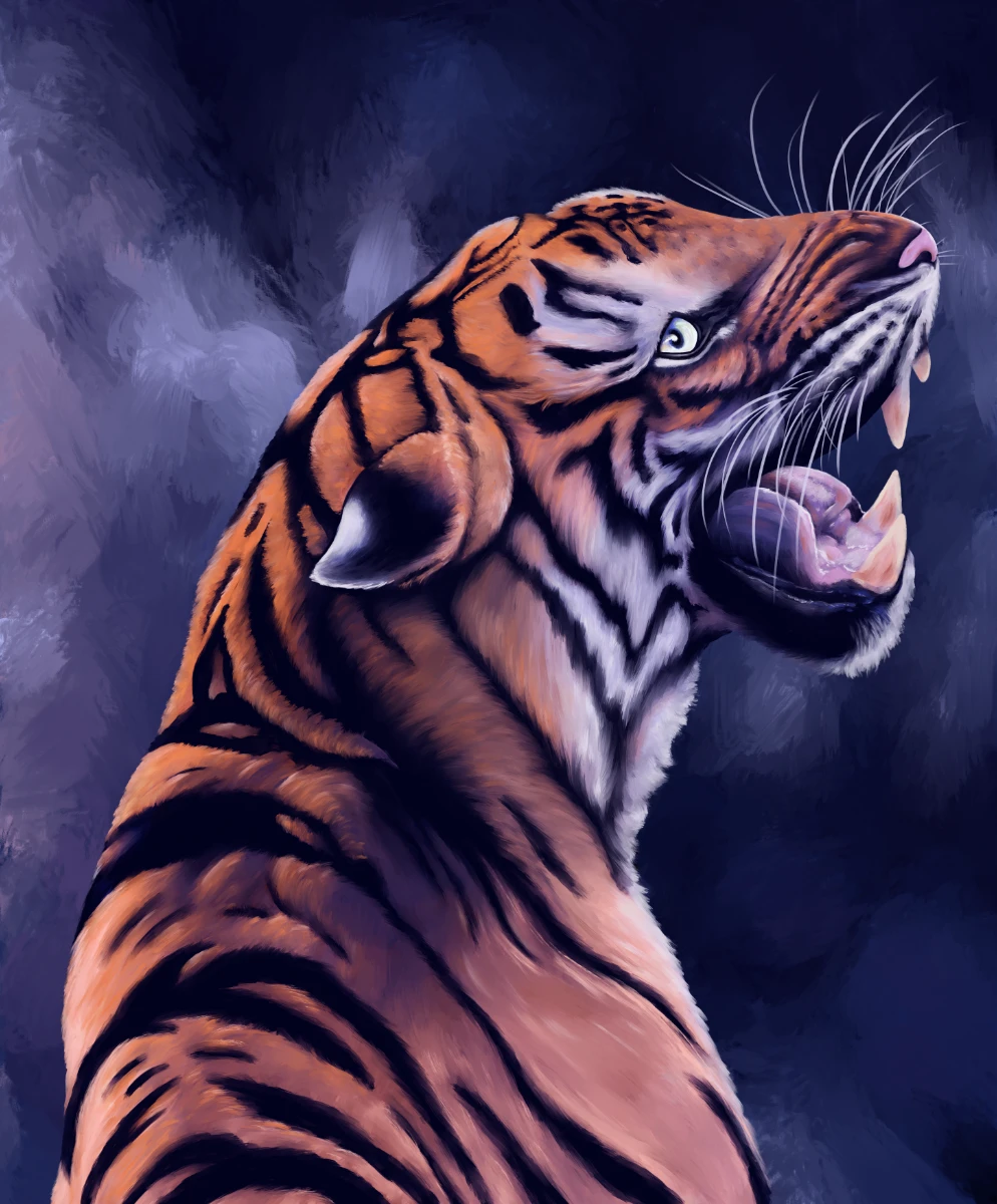 Tiger, brüllend